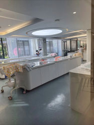 -宝生月子中心·私家园林式(龙华观澜店)