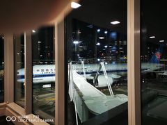 -约翰·菲茨杰拉德·肯尼迪国际机场