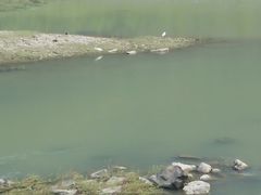 -小芝红树林