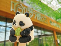 -卧龙中华大熊猫苑神树坪基地
