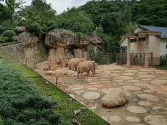 -福州动物园