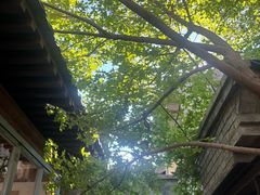 -VOYAGE COFFEE(杨梅竹店)