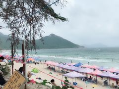 -西涌国际滨海旅游区