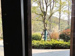 -东明山森林公园