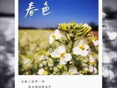 -中国天府农业博览园