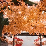 打个喷嚏都是‘爱秋’｜💗天津婚礼