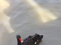-中国农业博物馆