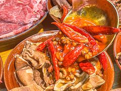 -阳阳老火锅(小南门店)