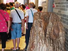 -唐香楼(东方店)