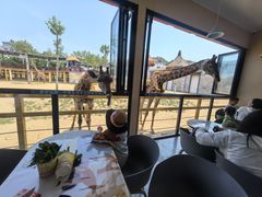 -西霞口神雕山野生动物世界