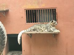 -青藏高原野生动物园