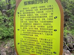 -大岭沟猕猴桃谷风景区