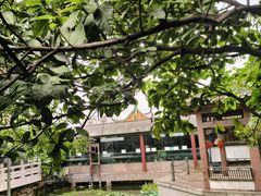 -东江渔村·古典园林·30年粤菜老字号(太和店)