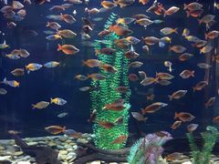 -常州海昌海洋探索馆