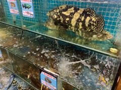 水产区-范饭椰林川湘味海鲜·椰子鸡(三亚湾椰梦长廊店)