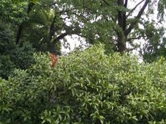 -蒋氏故居