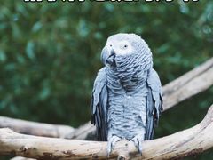 -云南野生动物园