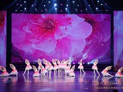 -红舞鞋舞蹈教育(近江校区)