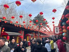 -爱新觉罗皇家博物院
