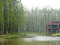 -黄海国家森林公园