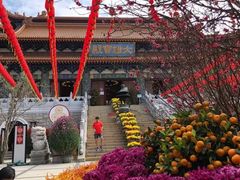 -宝莲禅寺