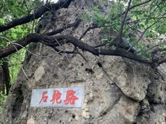 -阳台山自然风景区