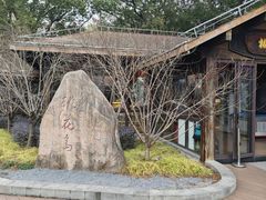 -金鸡湖桃花岛