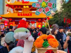 -越秀西湖花市(广州城市广场花卉店)