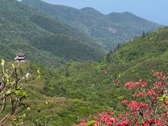 -大围山国家森林公园