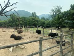 -西安秦岭野生动物园