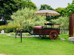 -西山漾湿地公园