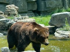 -北京野生动物园