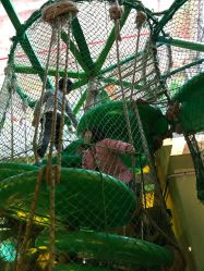 -恐龙探索乐园(磁器口店)