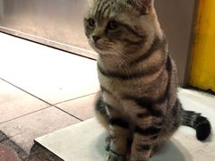 -跃进雪糕(跃进路店)