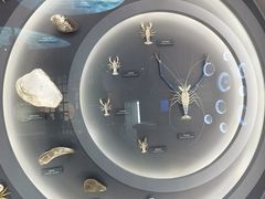 -中国湿地博物馆