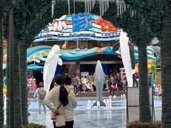 -海合安成都极地海洋公园