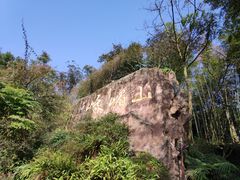 -峨眉山报国寺