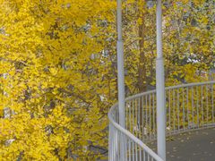 -西北湖绿化广场