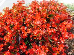 -第六空间国际家居(旺墩路店)