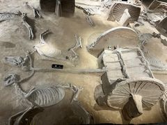 -洛阳周王城天子驾六博物馆