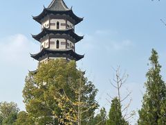 -天寿寺塔院