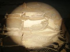 -洛阳周王城天子驾六博物馆