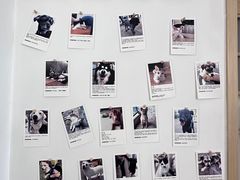 -经福元·推拿·艾灸(广兰路店)