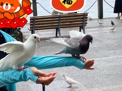 -杭州湖滨银泰in77