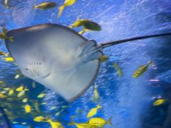 -太平洋海底世界