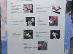 -南山植物园