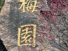 -无锡梅园公园