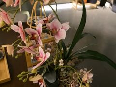 -施奈儿.洗头頭療.按摩SPA.采耳(上梅林店)