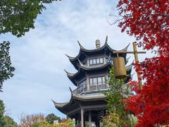 -梁鸿国家湿地公园