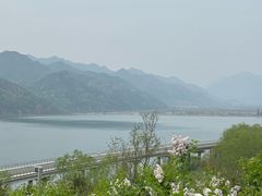 -北京中信金陵酒店